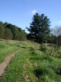 Murdishaw Wood